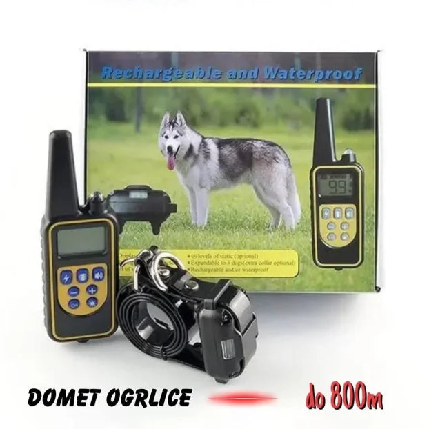 Ogrlica za dresuru pasa